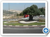 Kreisverkehr Israel