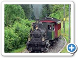 4. Juli, Dampfbahn-Verein Züricher Oberland