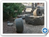 Kafarnaum, Reste der Olivenpresse